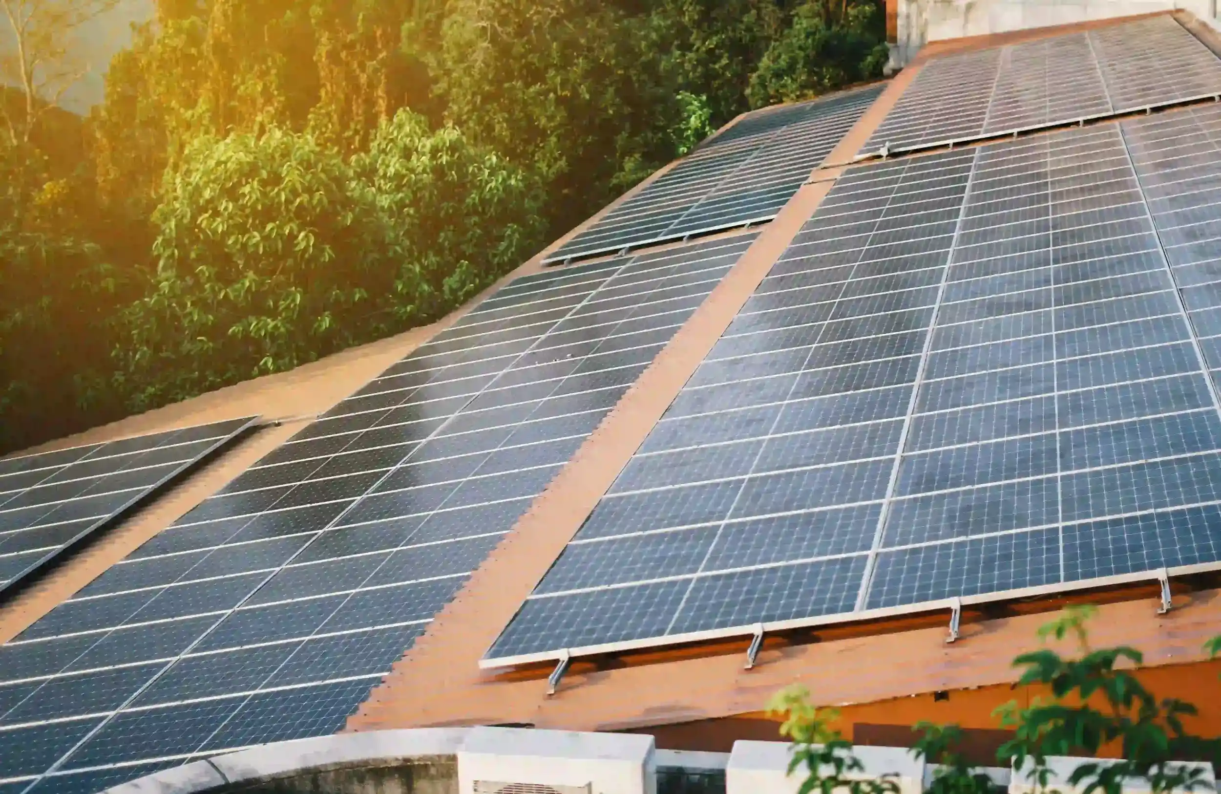 A rooftop covered with solar panels surrounded by lush green trees, representing Solar Services in Berserker.